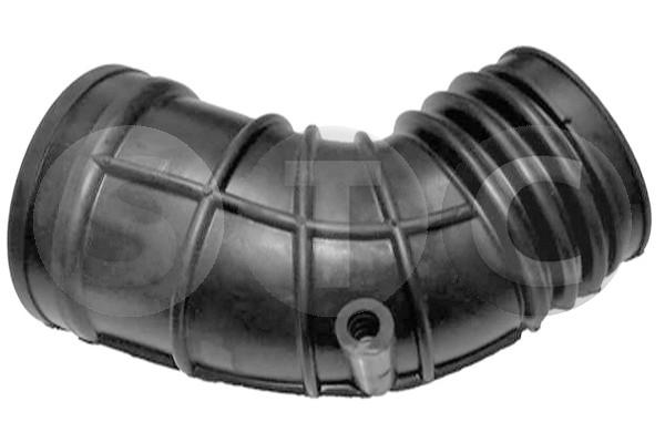 T498544