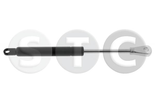 T446569