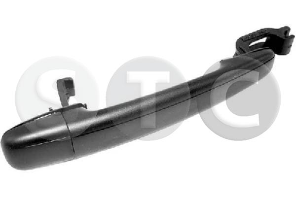 T443631