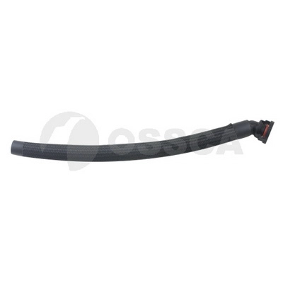 24455