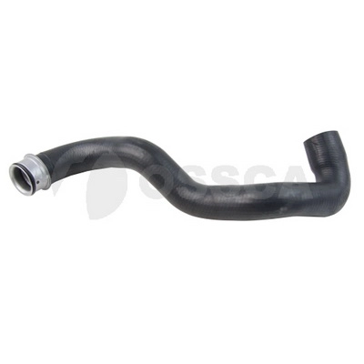 33306