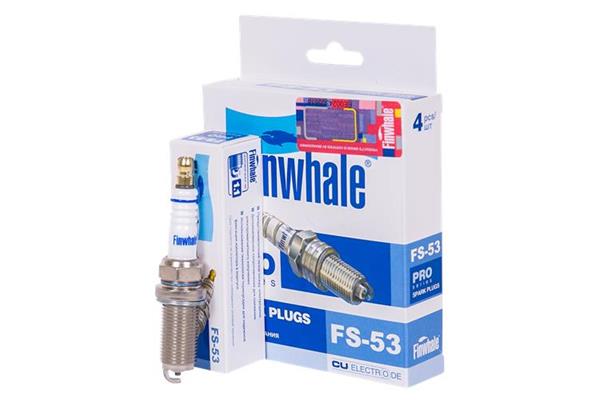 FS53