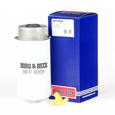 BFF8009