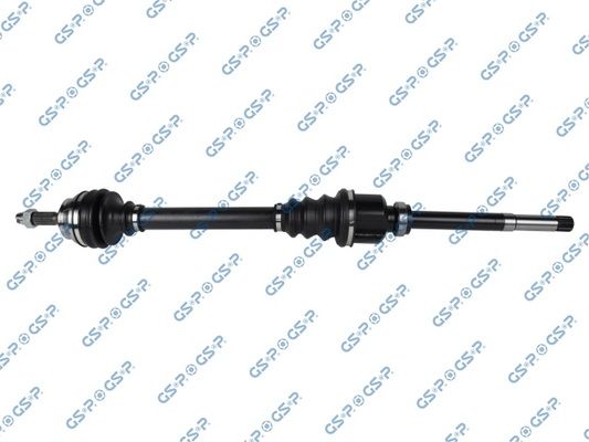 GSP-210308