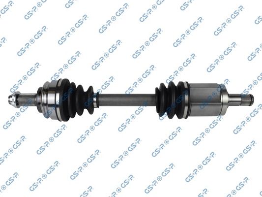 GSP-205029