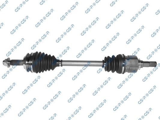 GSP-259295