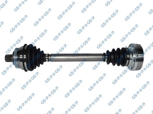 GSP-218010
