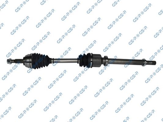 GSP-250538
