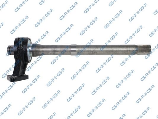 GSP-202862
