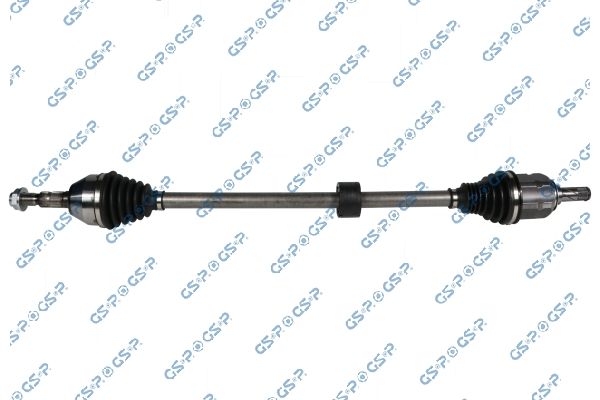 GSP-244098