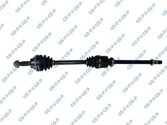 GSP-218232