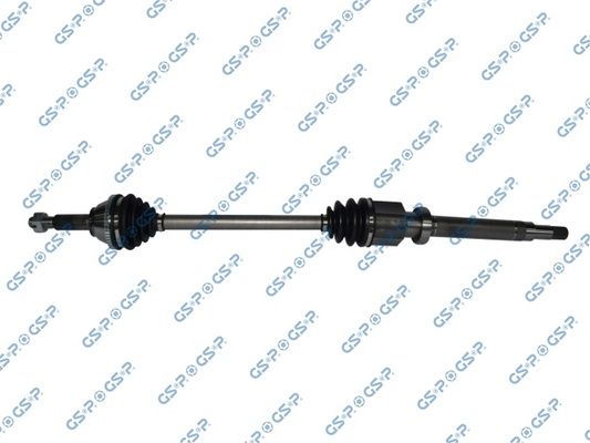 GSP-218242