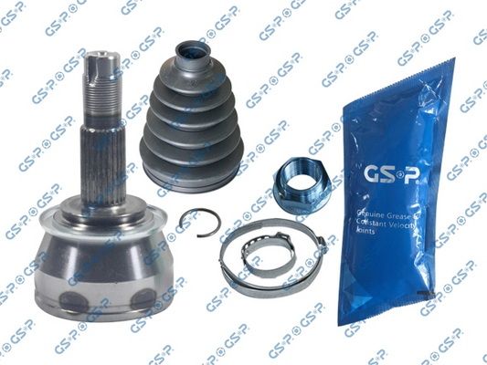 GSP-806019