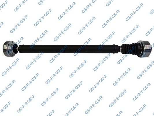 GSP-202101