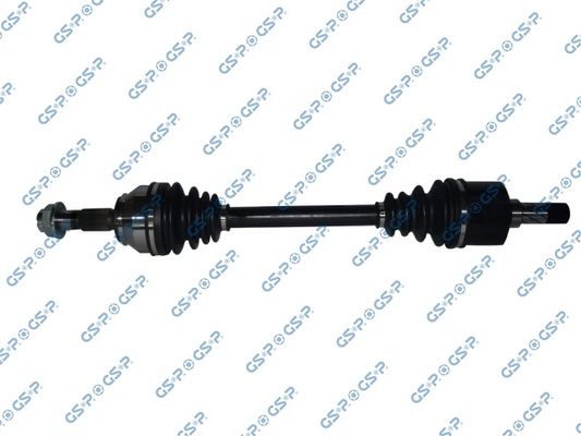 GSP-217231