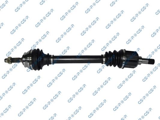 GSP-210307