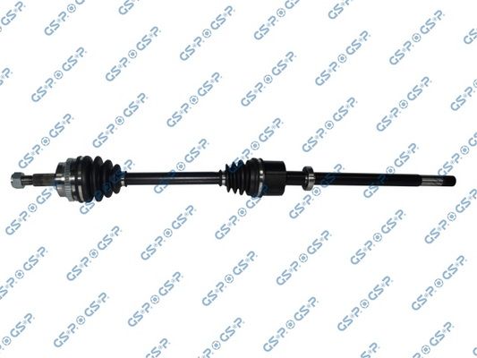GSP-250366