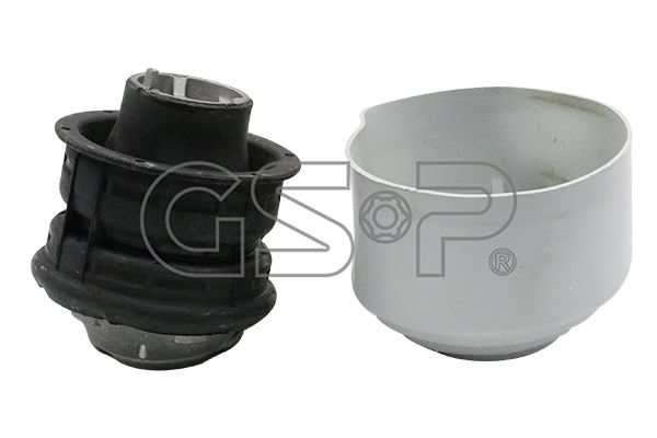 GSP-530138