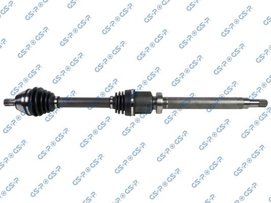 GSP-218219