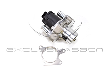 EEG-MB09