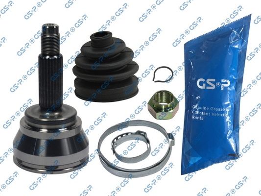GSP-818019