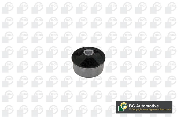 48069-05070-Bush