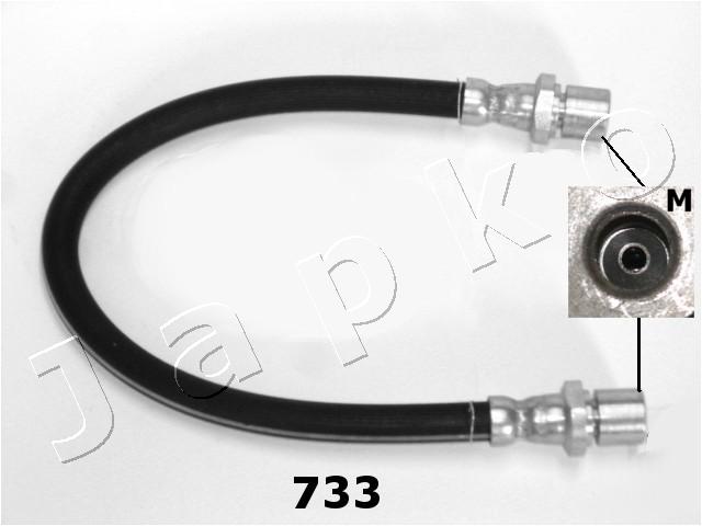 69733