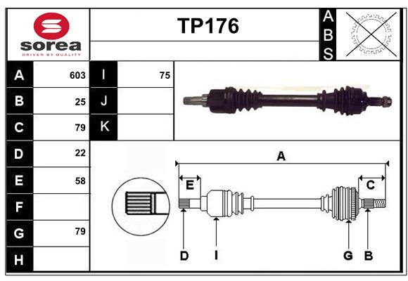 TP176