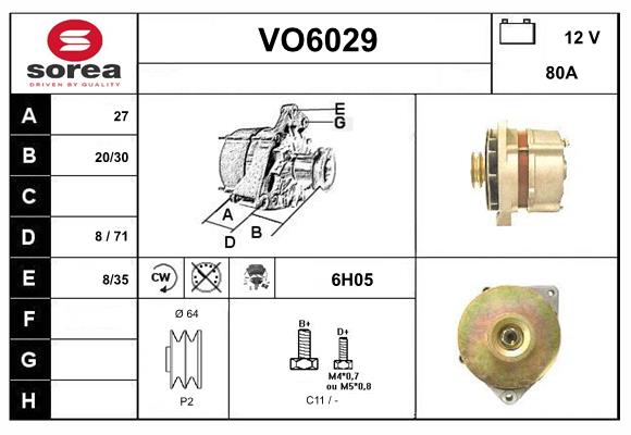 VO6029