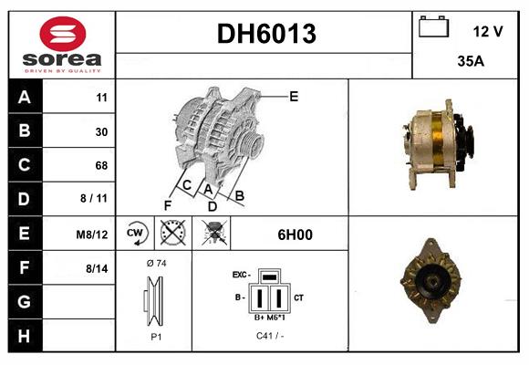 DH6013