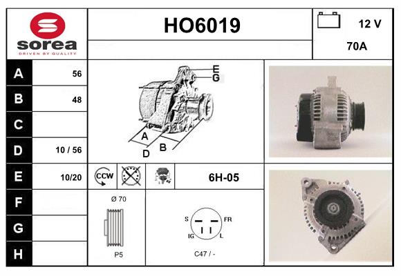 HO6019