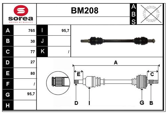 BM208