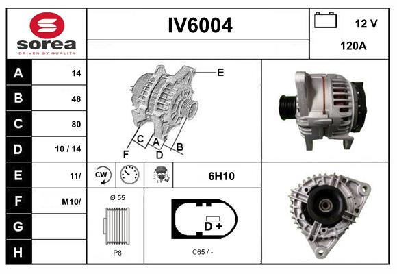 IV6004
