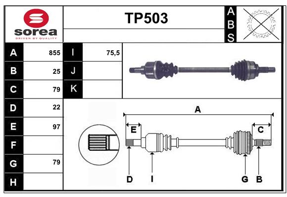 TP503