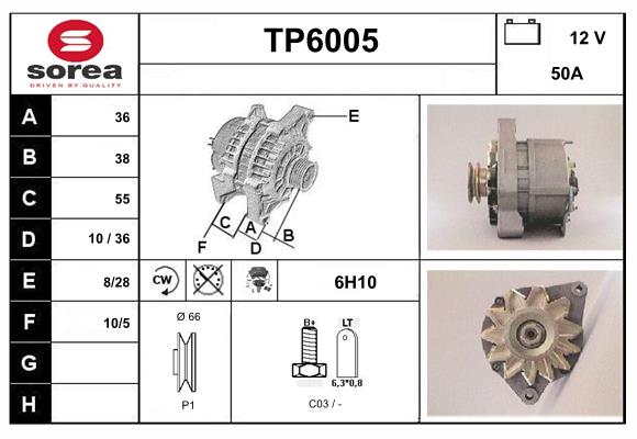 TP6005