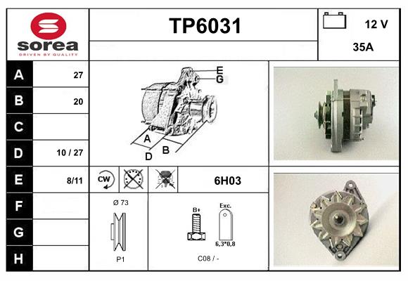 TP6031
