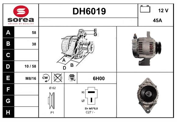 DH6019
