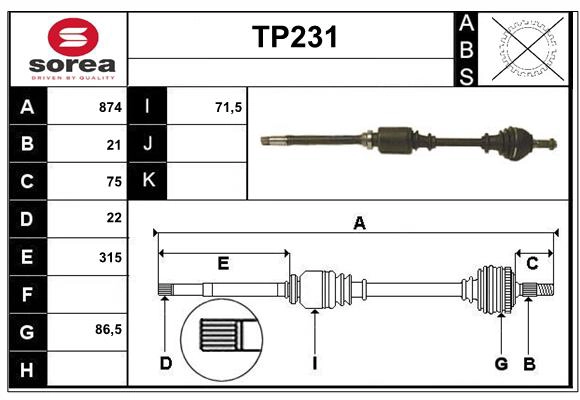 TP231