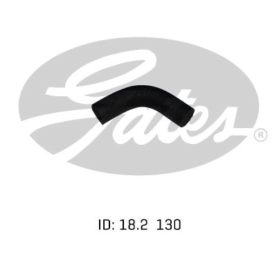 1405637