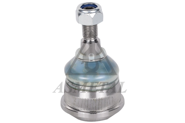 10VL1010