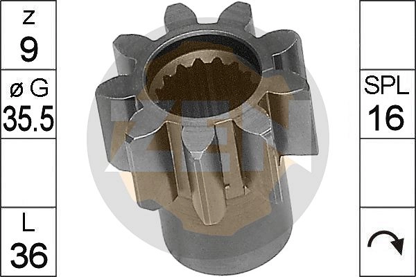 WG2018564