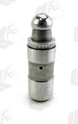 WG1172111