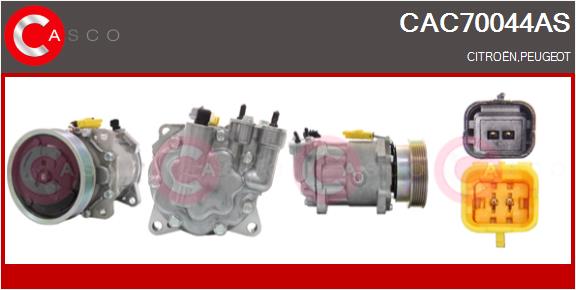 CAC70044AS