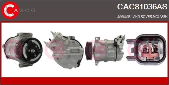 CAC81036AS