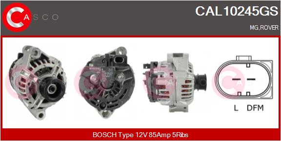 CAL10245GS
