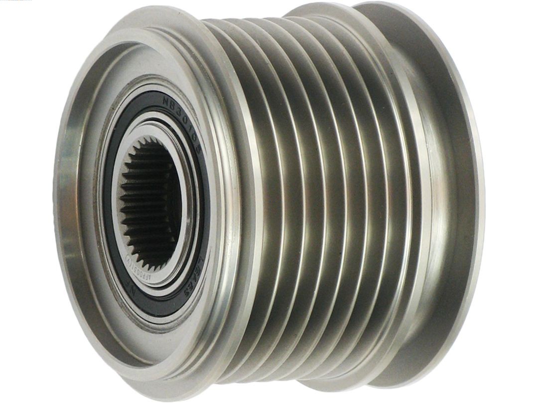 AFP0031(V)