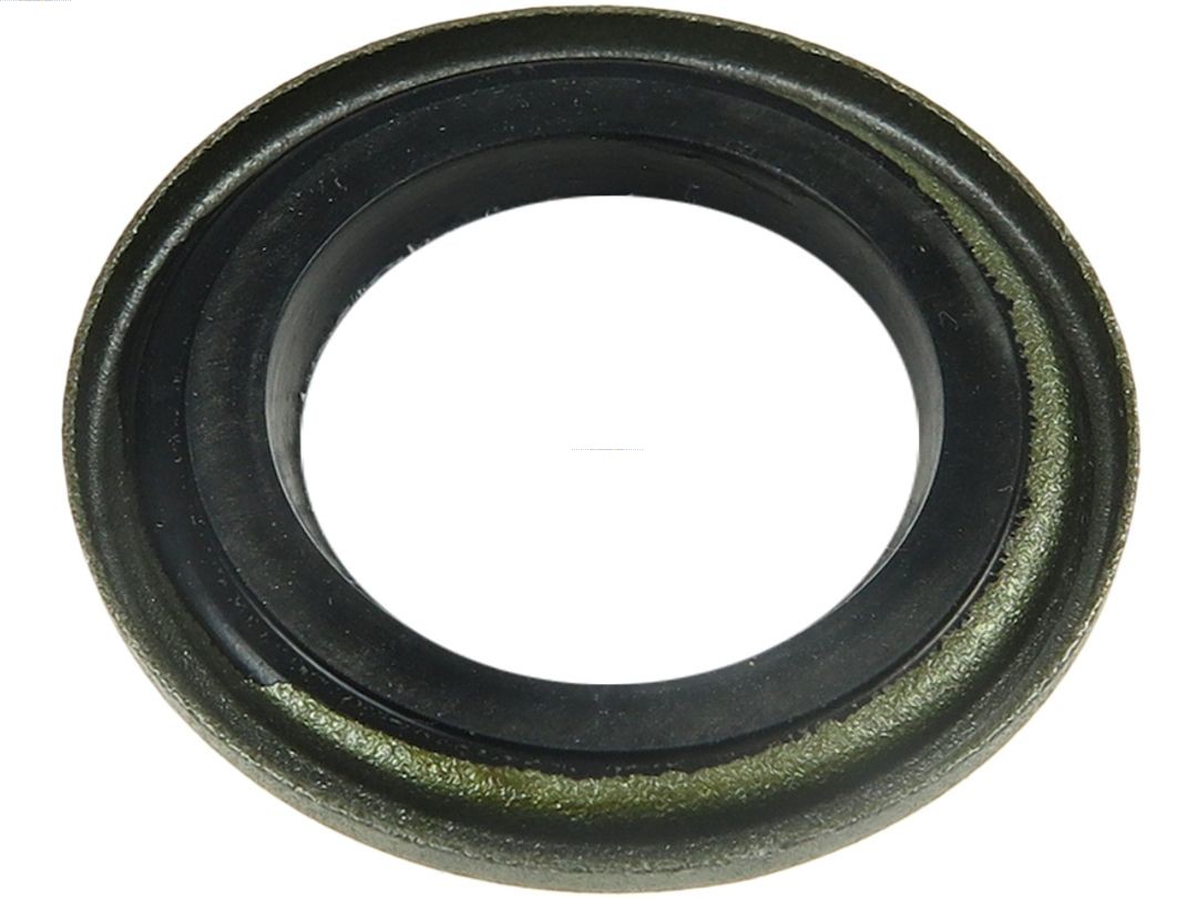 SRS5013