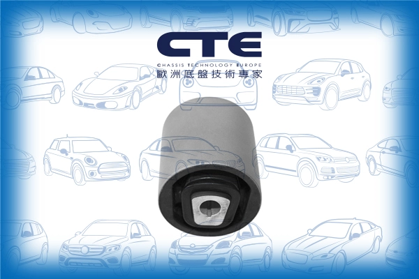 CBH09038