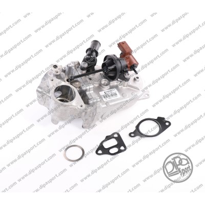 EGR081N