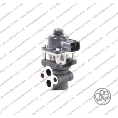 EGR224N